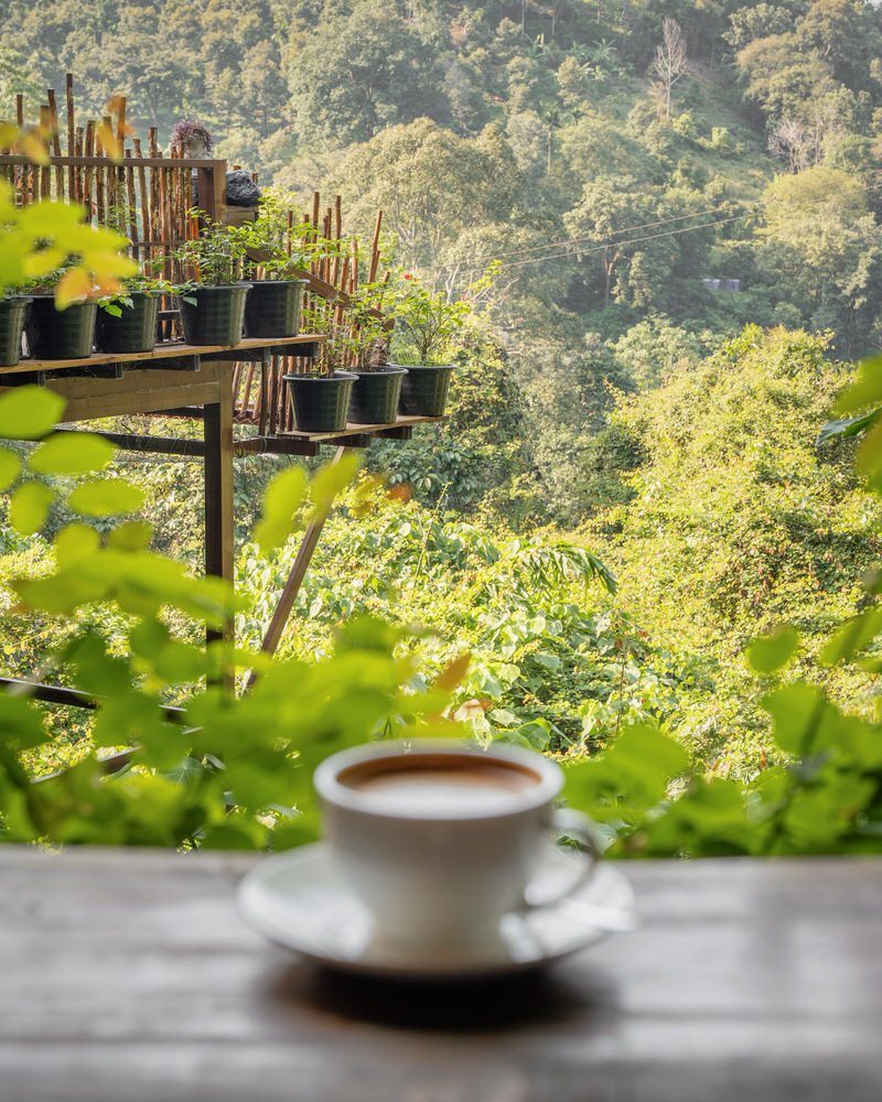 Koh Samui Tipps Tree Bridge Café