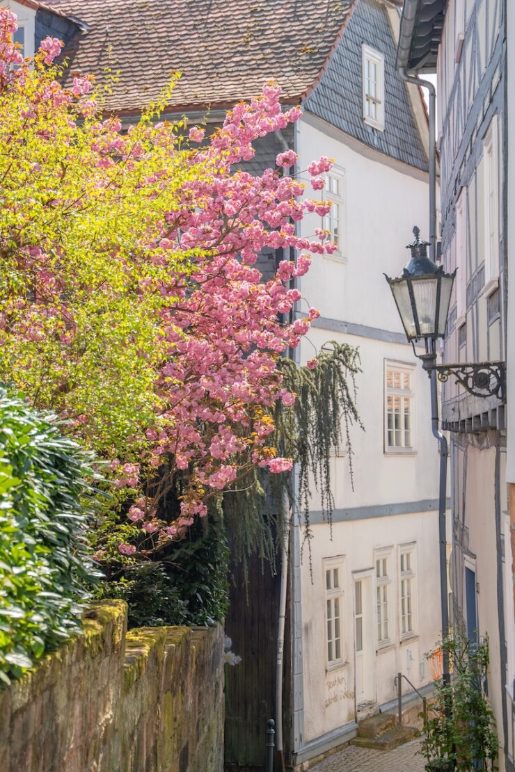 Frühling in Marburg