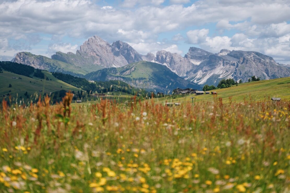 Seiser Alm Ausflug vom Grödnertal