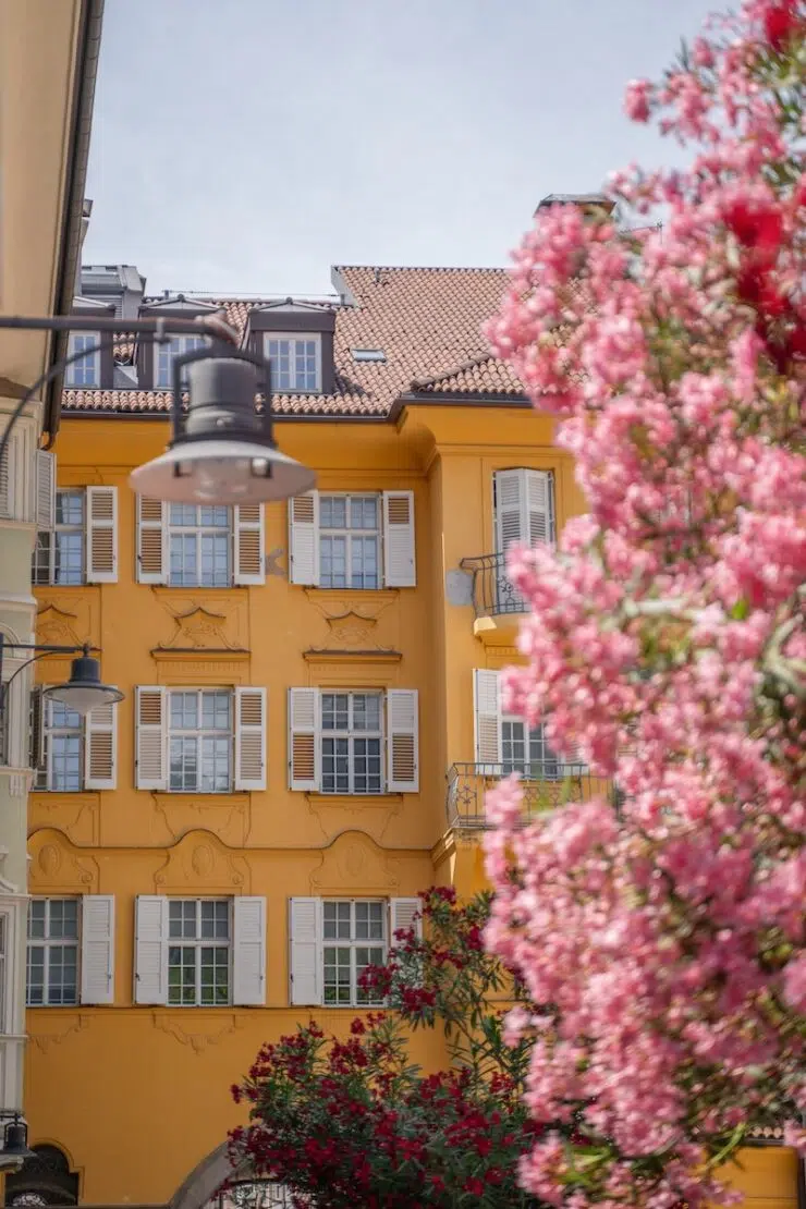 Tagesausflug nach Bozen