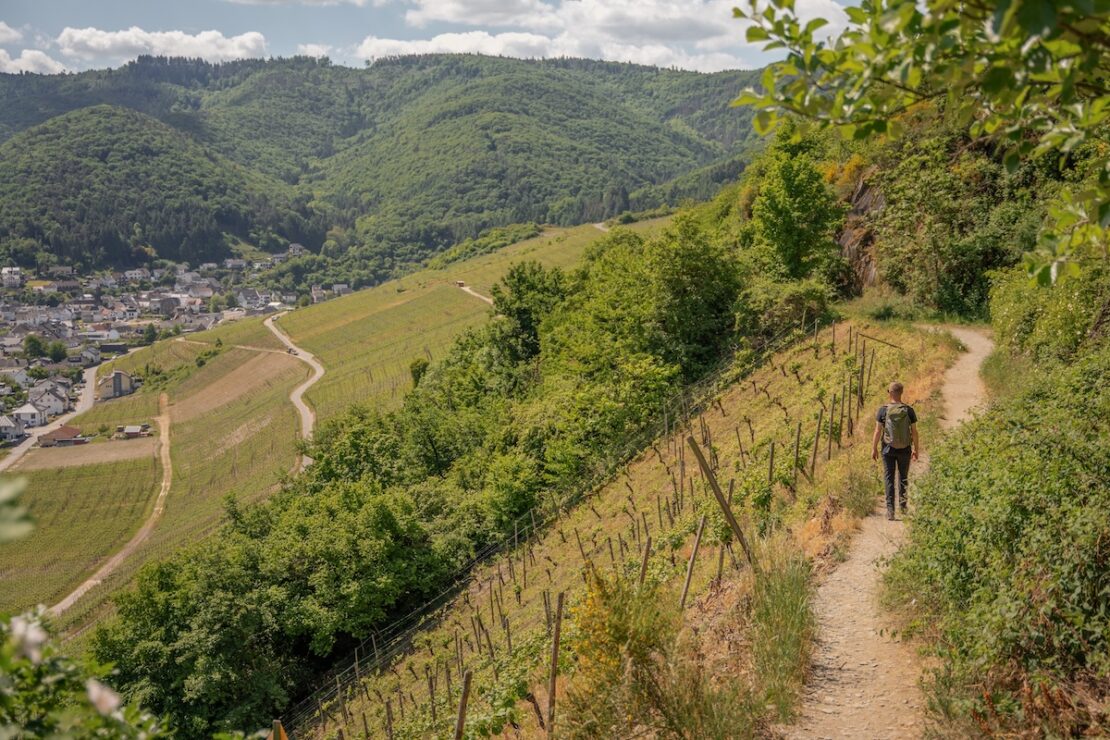 Rotweinwanderweg von Dernau nach Altenahr