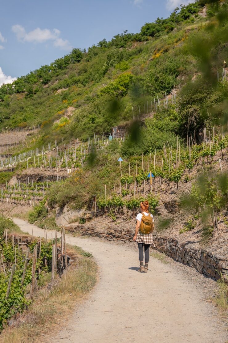 Wandern in Altenahr
