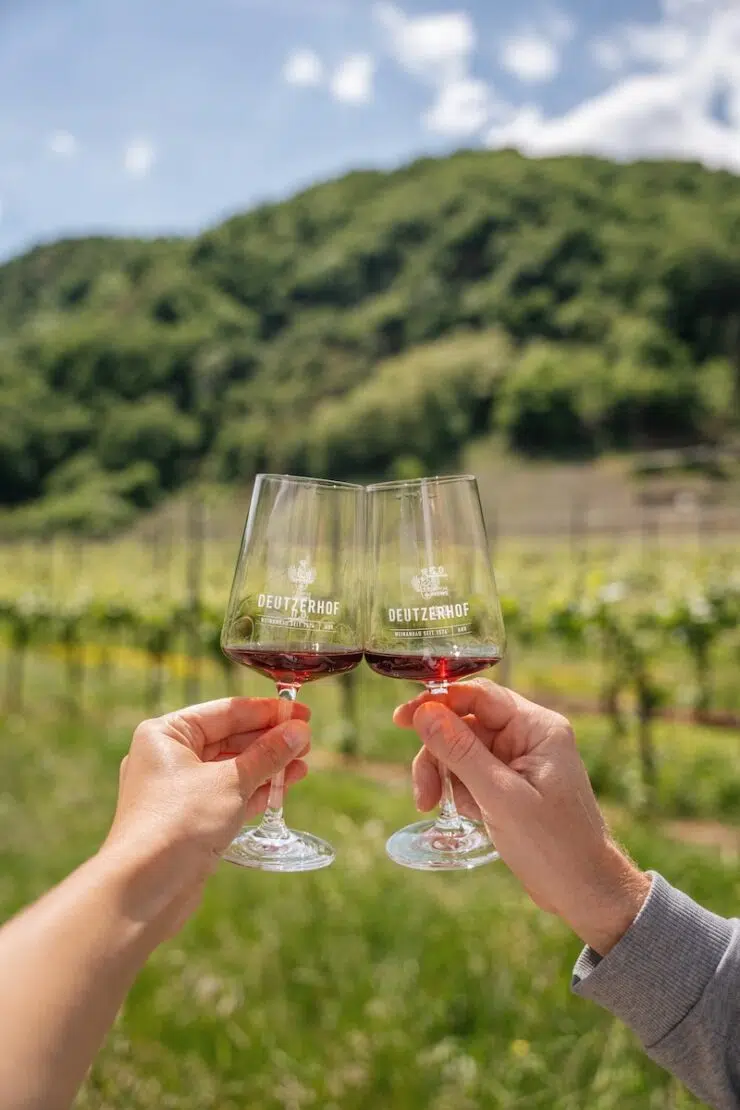 Weinprobe im Weingut Deutzerhof