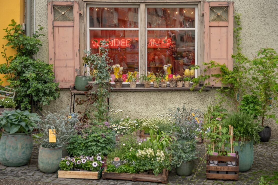 Wunderkammer in Ravensburg