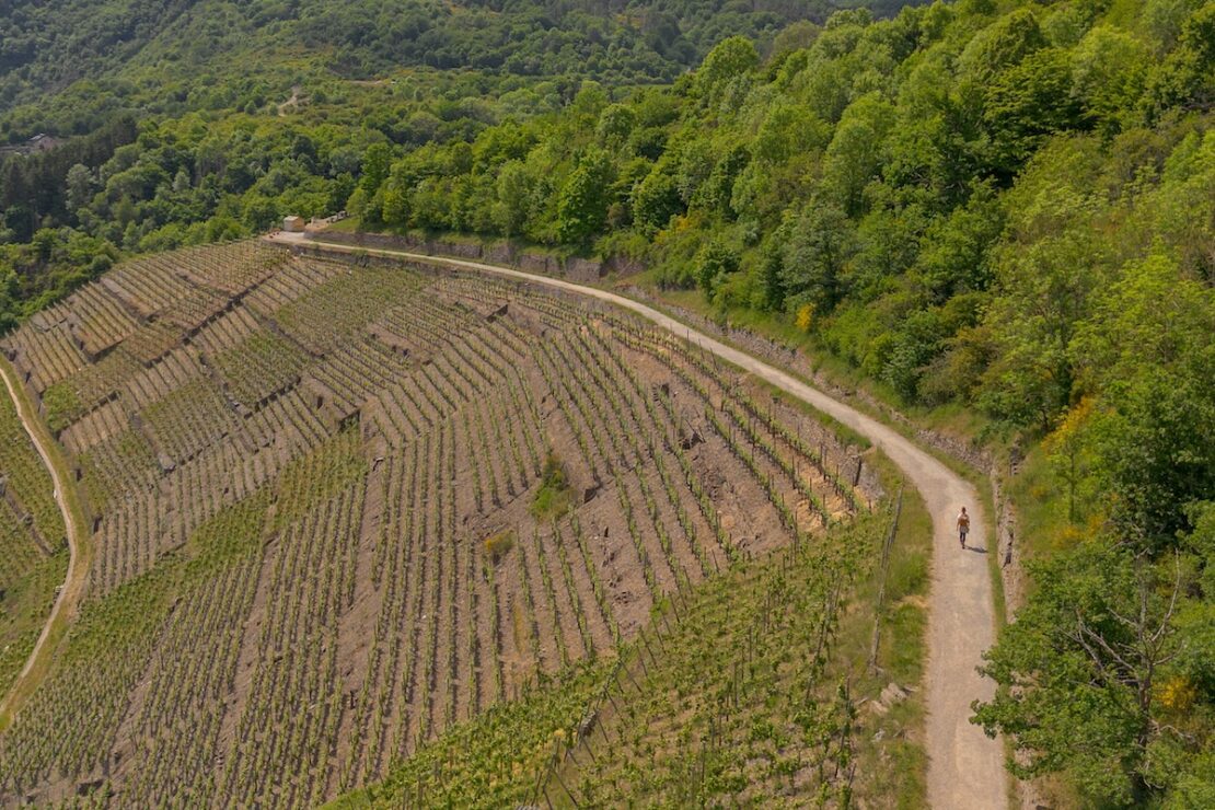 Altenahr Rotweinwanderweg