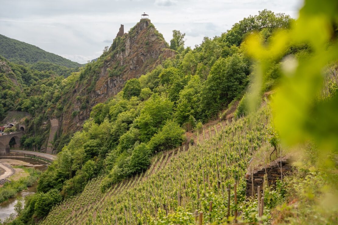 Weinberge in Altenahr