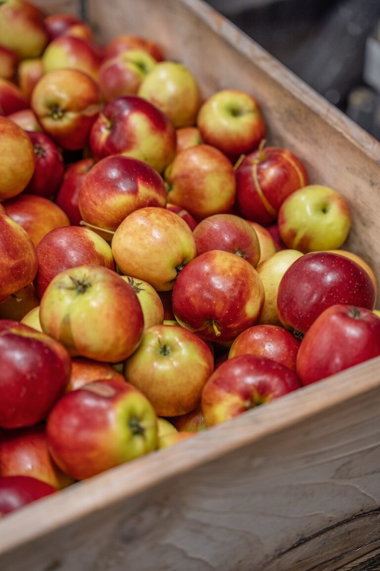 Småland Sehenswürdigkeiten: Natur, Städte und Geheimtipps Småland Sehenswürdigkeiten: Natur, Städte und Geheimtipps
