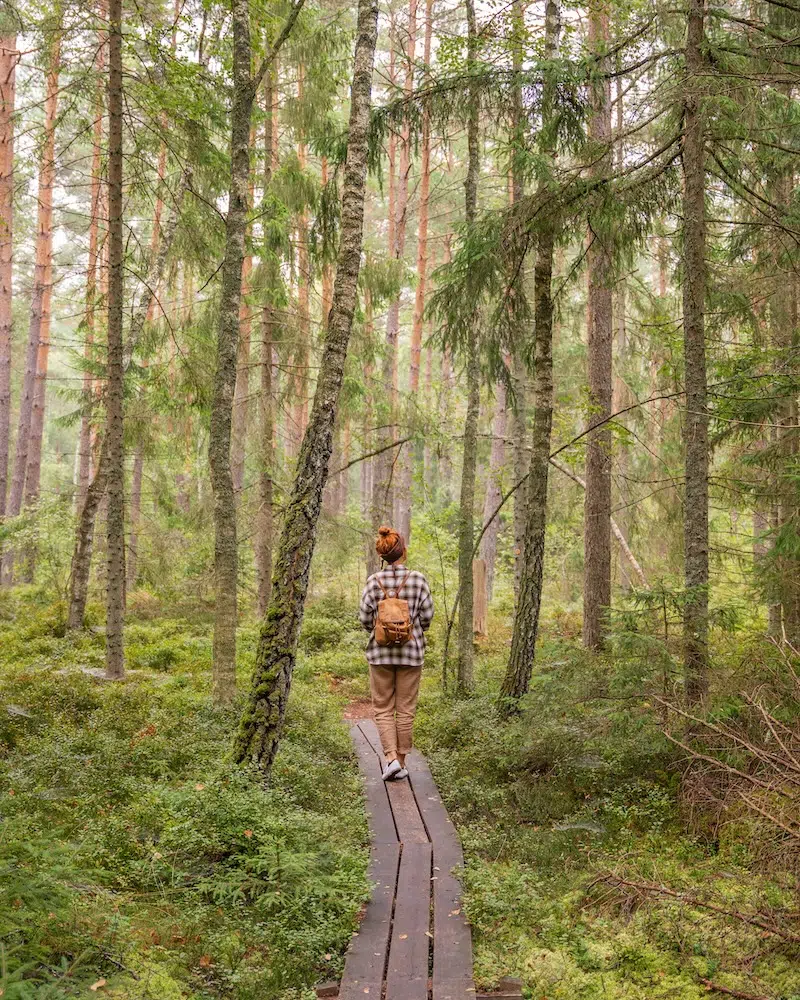 Åsnen Nationalpark in Schweden