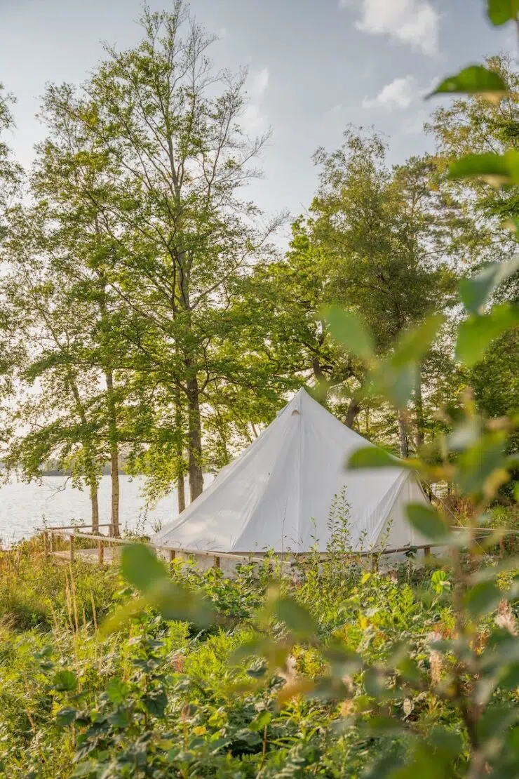 Åsnen Nationalpark zelten