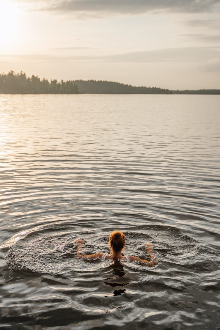 Åsnen See