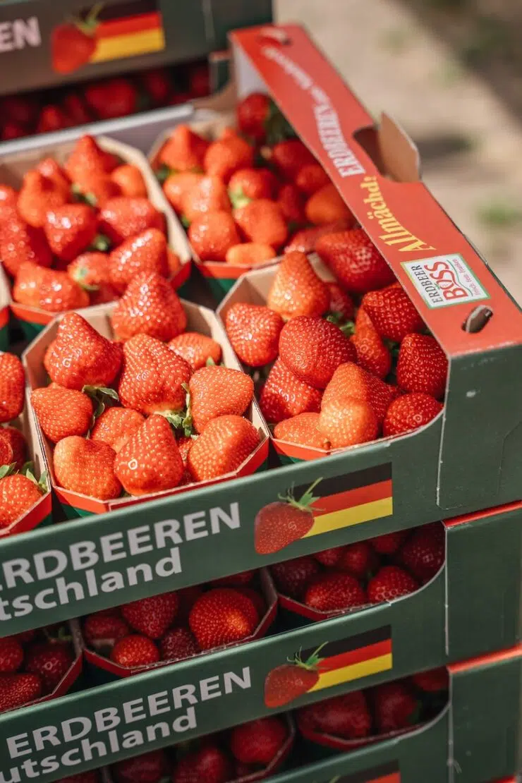 Erdbeeren aus dem Knoblauchsland Nürnberg