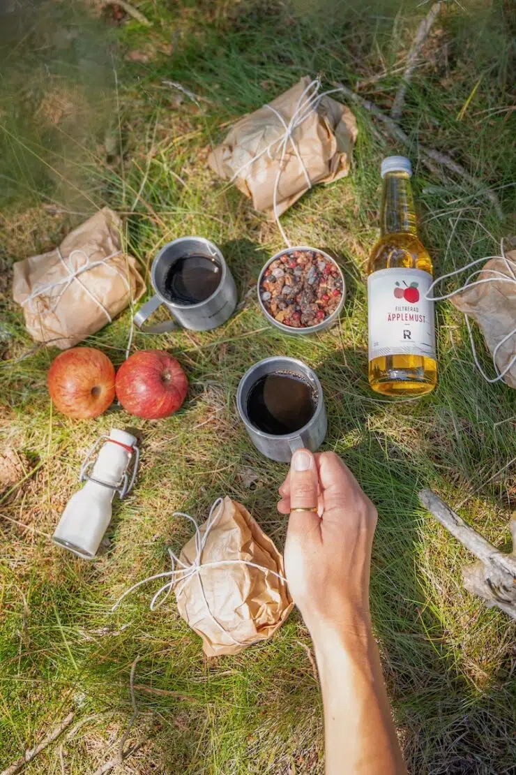 Fika im Naturreservat Örarevet Småland