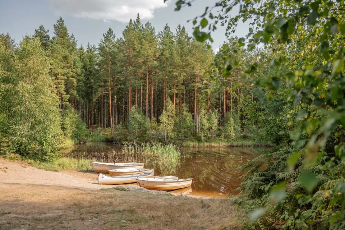 Kanu im Åsnen Nationalpark in Schweden