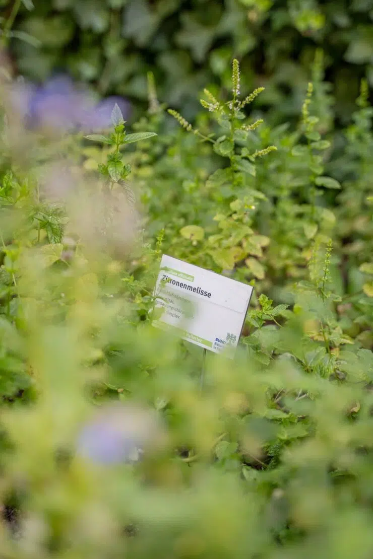 Nürnberg nachhaltig erleben Pocket Parks