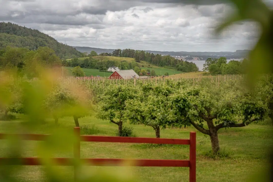 Småland Sehenswürdigkeiten Äppledalen