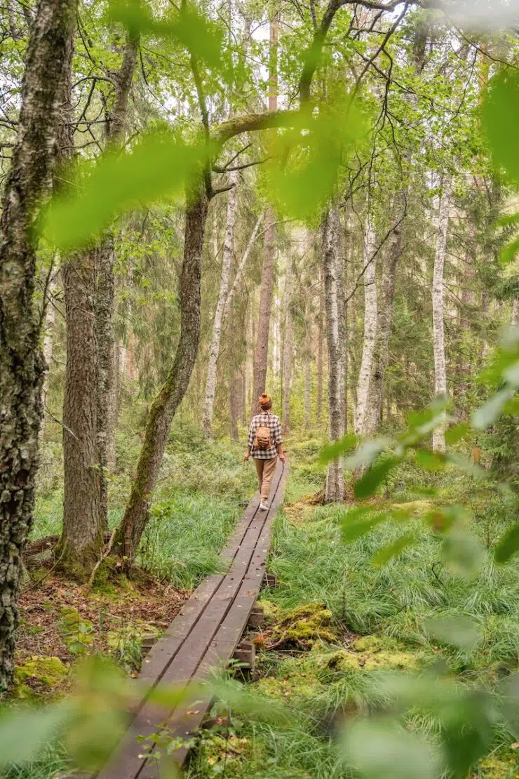 Wandern im Åsnen Nationalpark