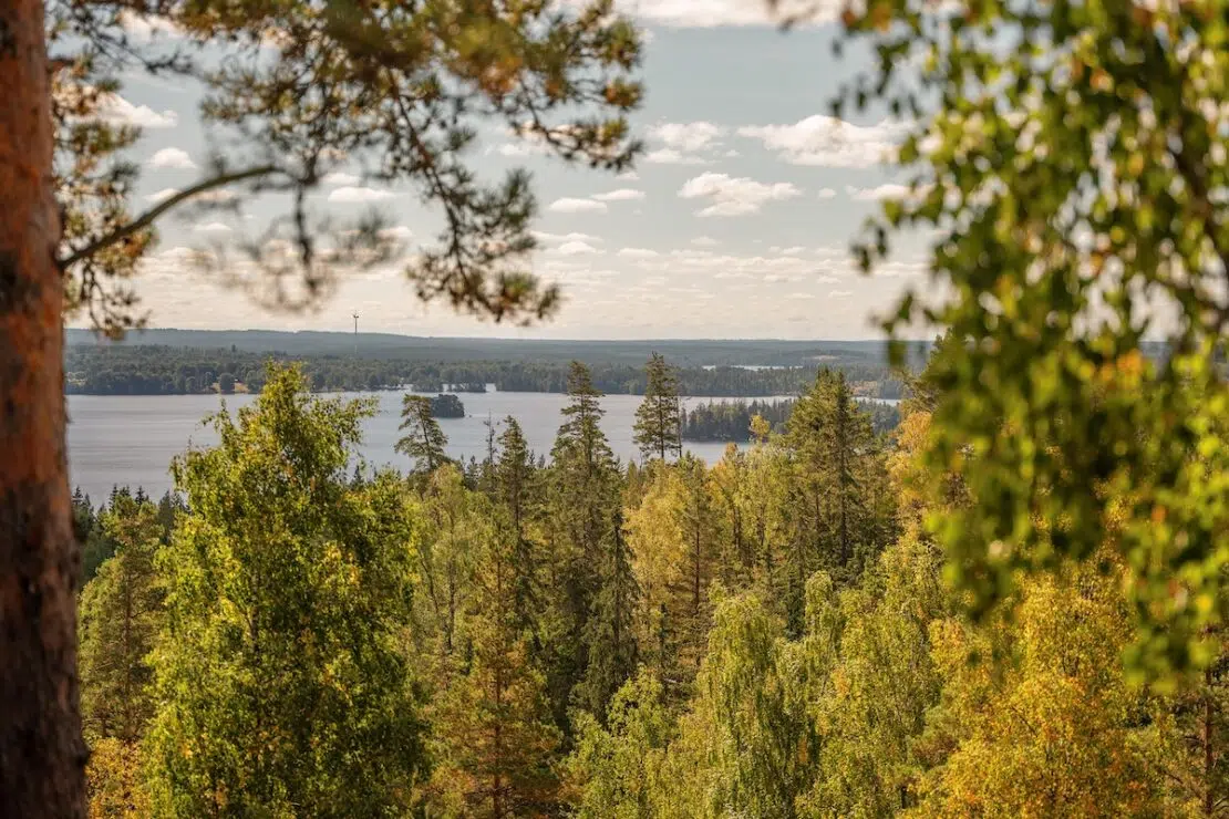 Zipline in Småland Schweden