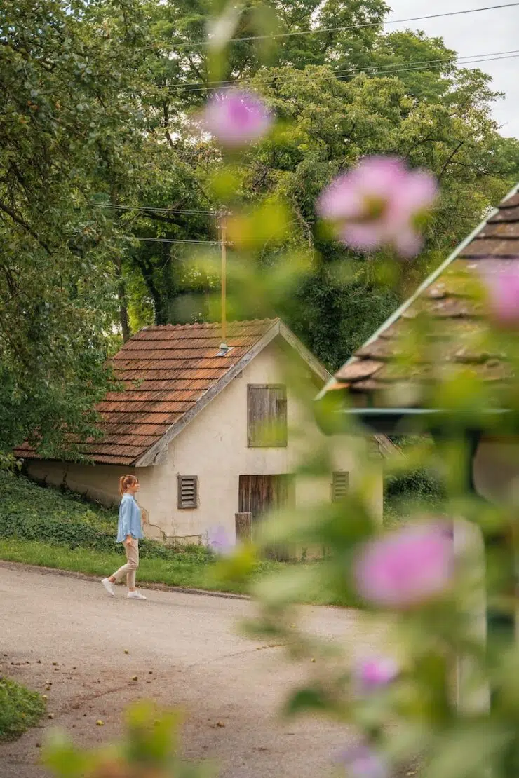 Die schönsten Sehenswürdigkeiten im Weinviertel in Österreich