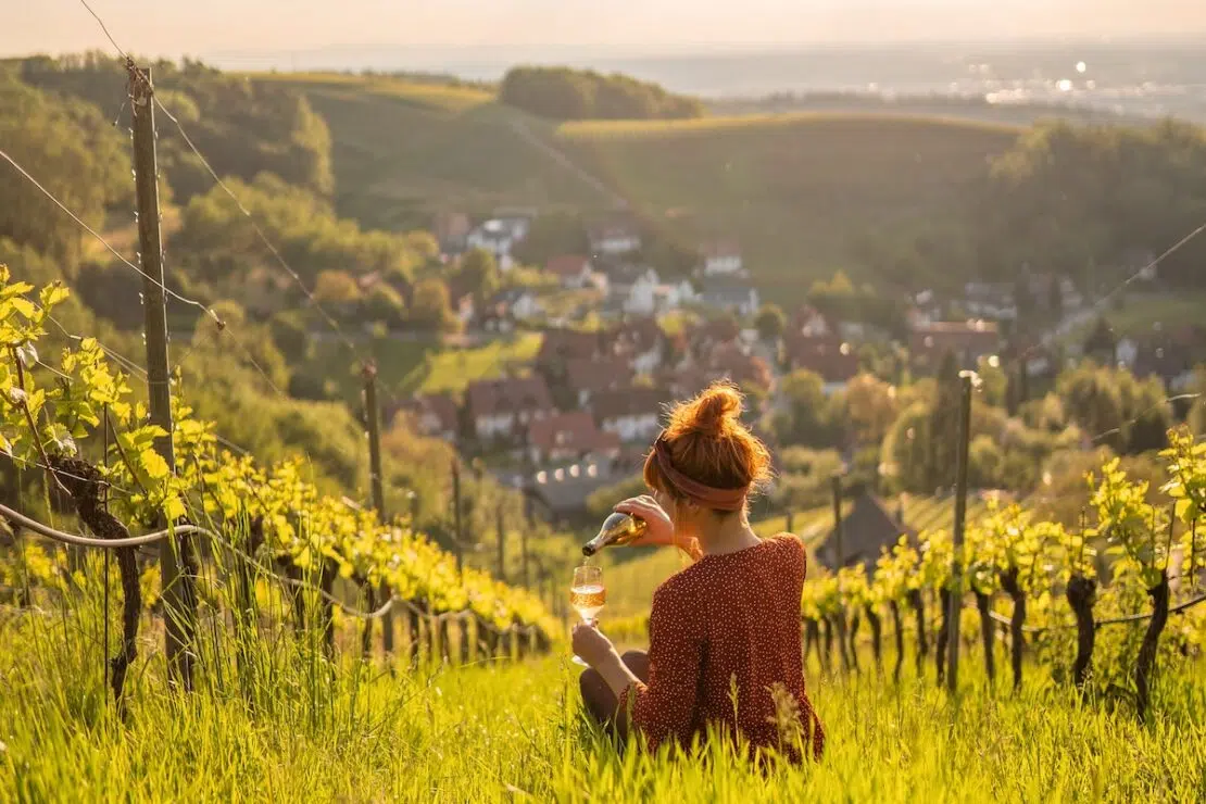 Die schönsten Weinregionen in Deutschland