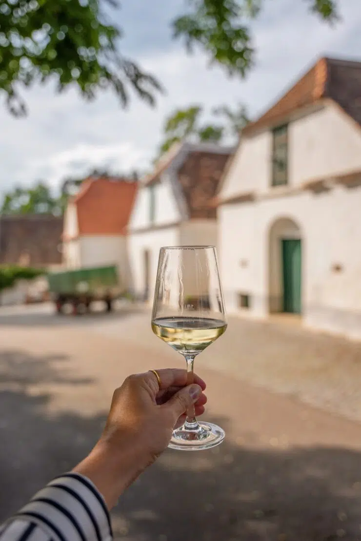 Kellergassenführung mit Weinprobe