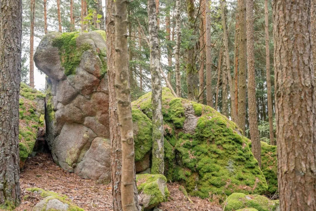 Kraftplatz Kamelstein Waldviertel Österreich