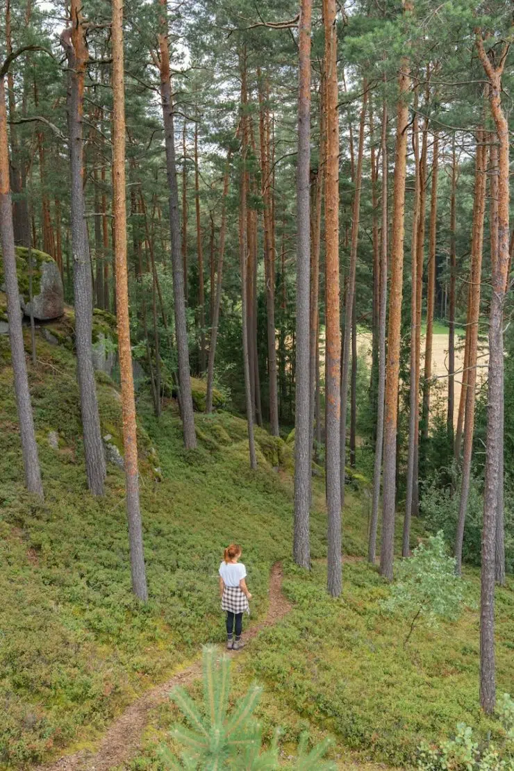 Steinwanderweg Langschlag