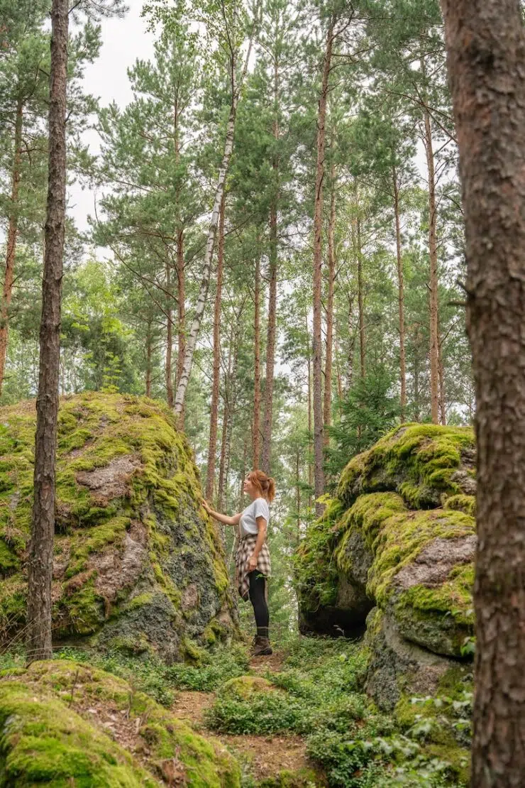 Urlaub im Waldviertel Österreich
