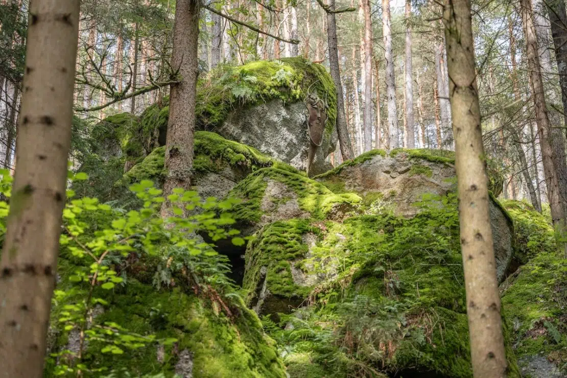 Wackelsteine im Waldviertel