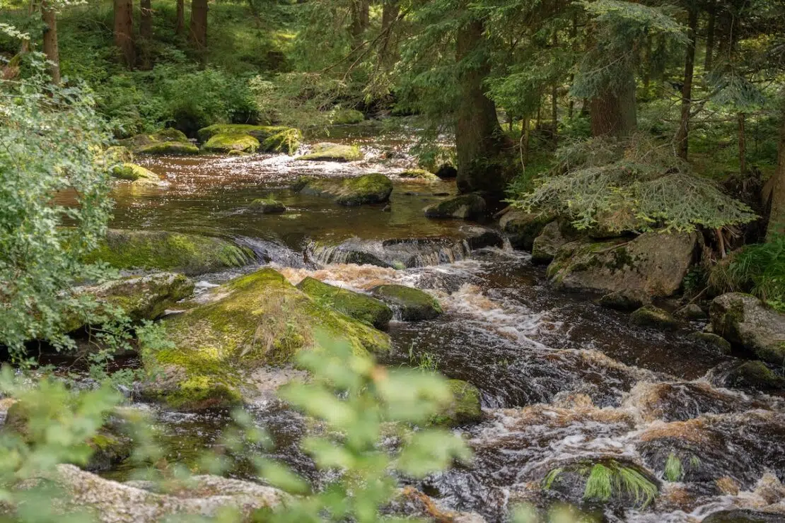 Waldviertel Österreich Höllfall