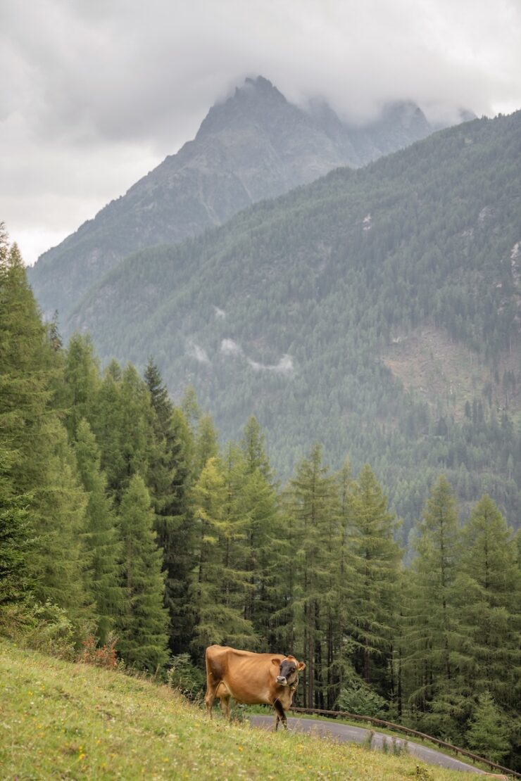 Wandern im Ötztal Längenfeld