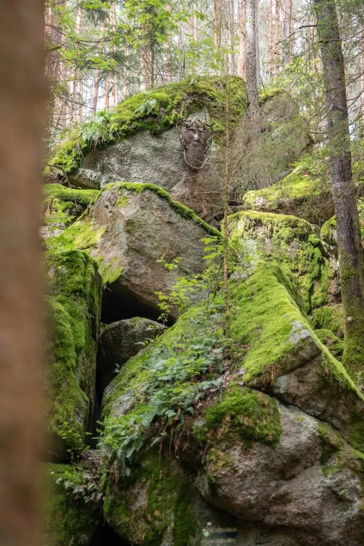 Wandern im Waldviertel Kraftarena Groß Gerungs