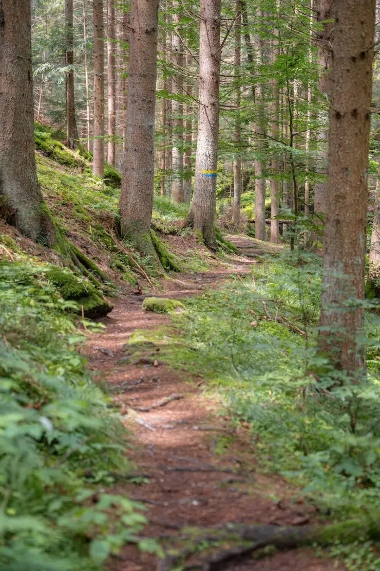 Wandern im Waldviertel Österreich