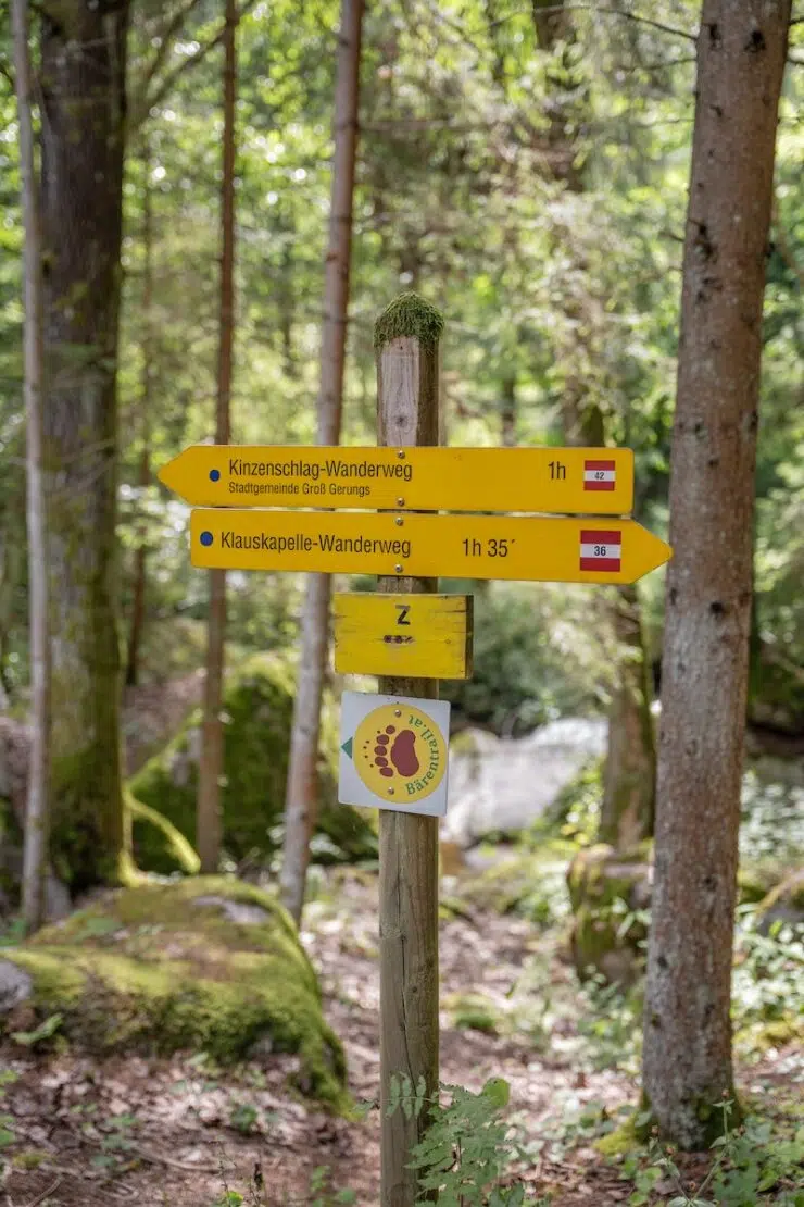 Wanderung zu den Kraftorten im Waldviertel