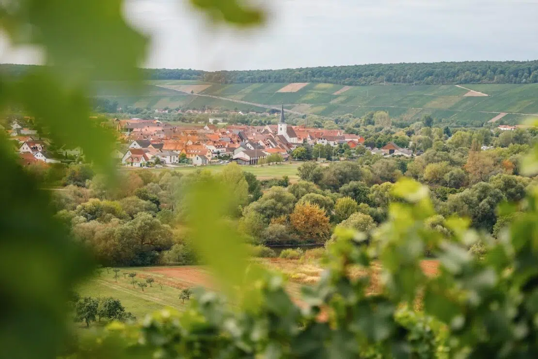Weinanbaugebiete Deutschland Franken