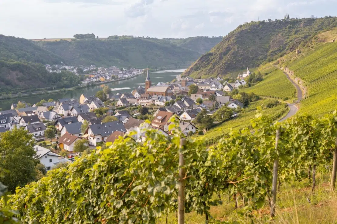 Weinanbaugebiete Deutschland Mosel