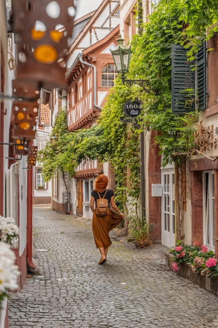 Weinanbaugebiete Deutschland Neustadt an der Weinstraße
