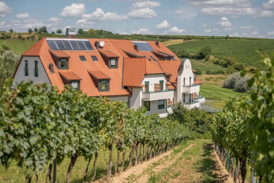Weingut Neustifter in Poysdorf Weinviertel Österreich