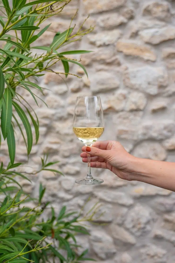 Weinprobe im Weingut