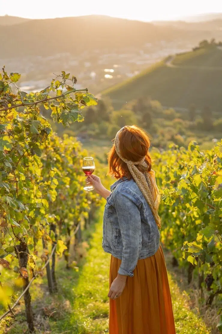 Württemberg Weinanbaugebiete Deutschland