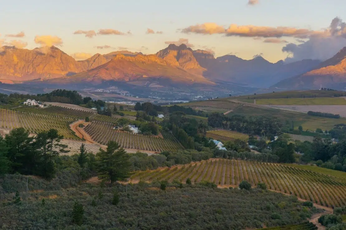 Die schönsten Reiseziele für Weinreisen