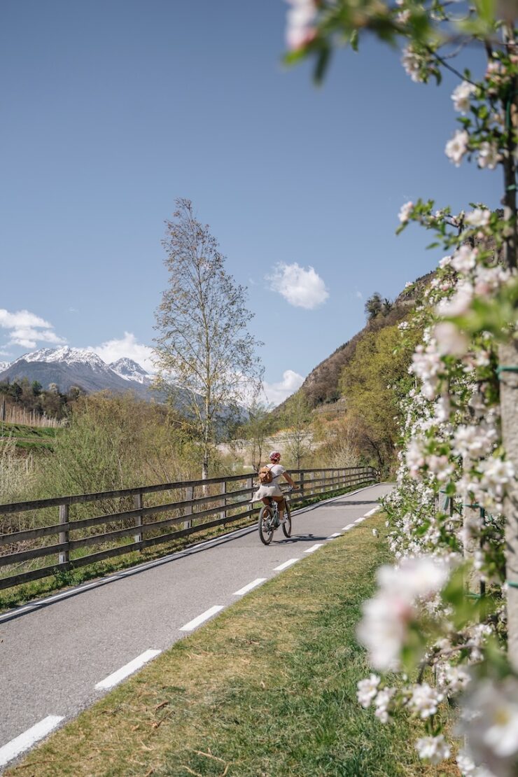 Etschradweg im Frühling Radtouren in Südtirol