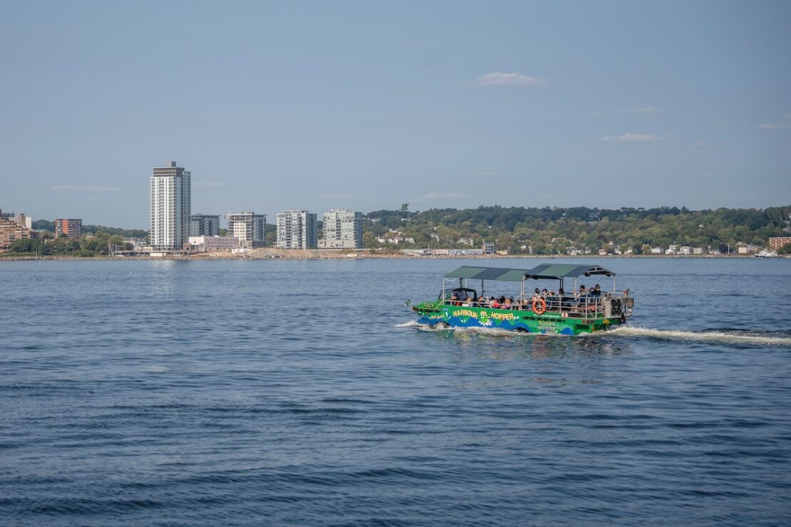 Harbour Hopper Tour