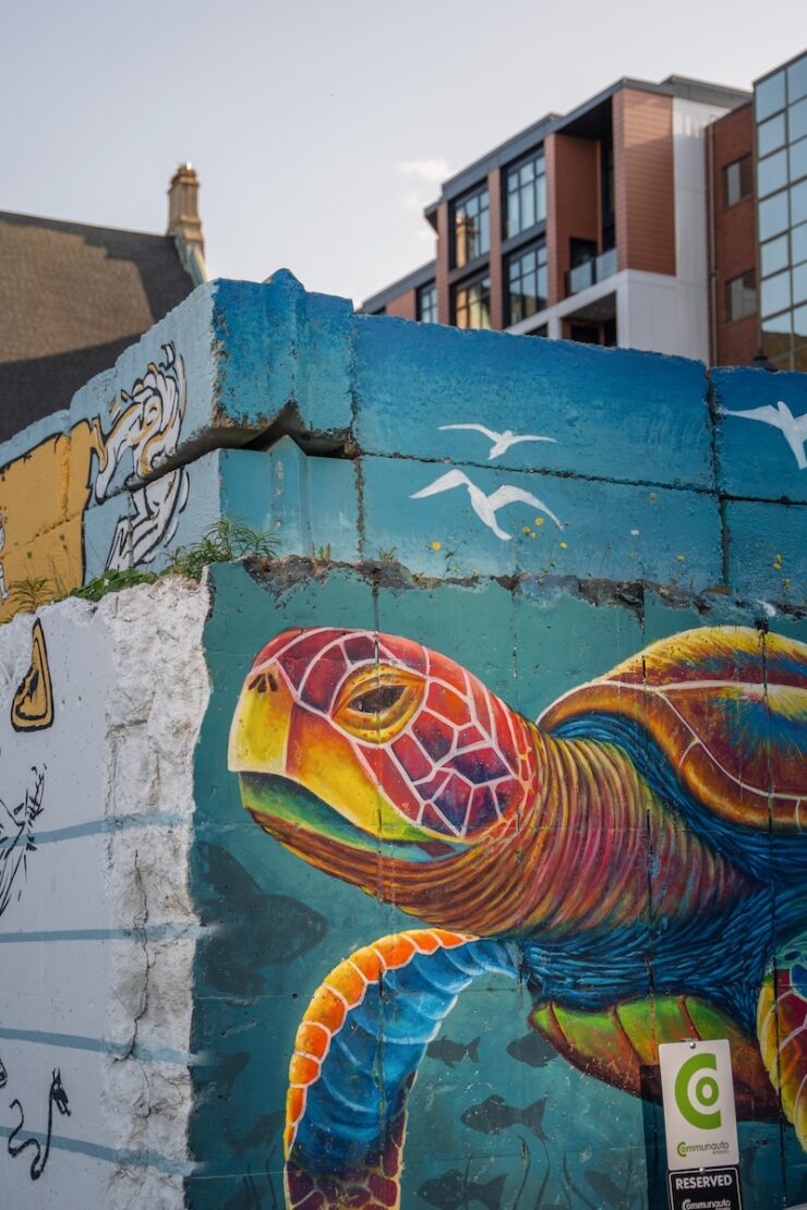 Streetart in Halifax