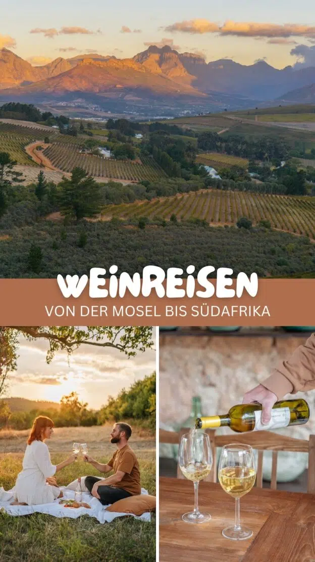 Weinreisen Pinterest