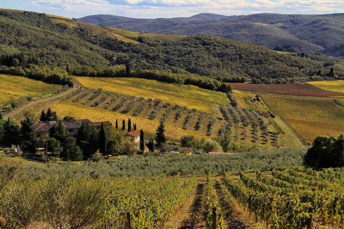 Weinreisen Toskana