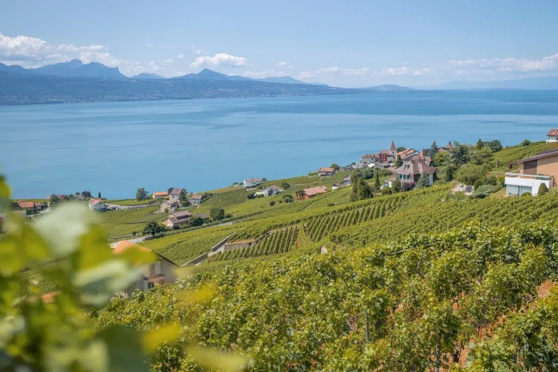 Weinreisen in die Weinregion Lavaux