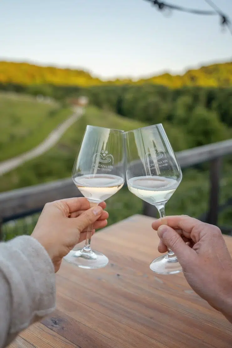Weinreisen in die Weinregion Slowenien