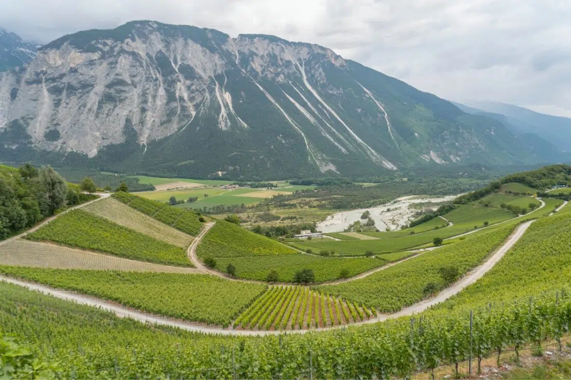 Weinreisen ins Wallis Schweiz