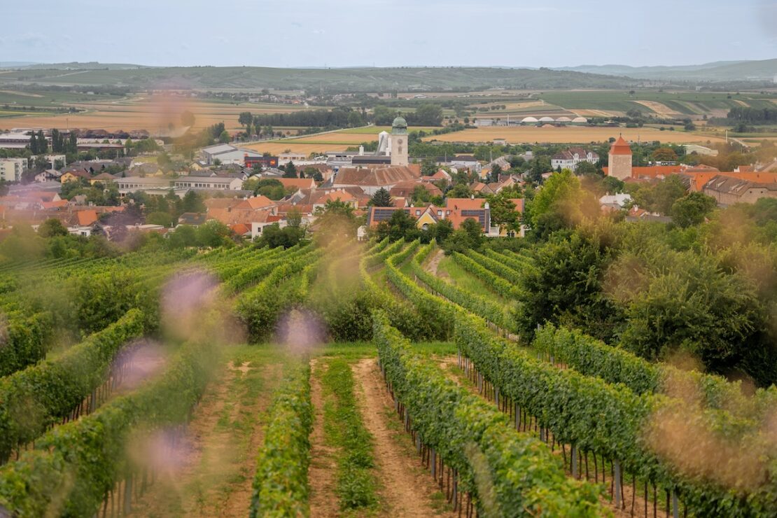 Weinreisen ins Weinviertel in Österreich