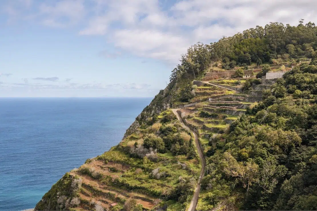 Weinreisen nach Madeira